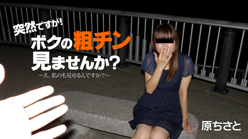 |HEYZO-1823|  Chisato Hara Would You Like to See My Small Prick? -What? So Do I?-