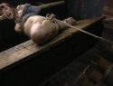 |GTJ-030| 繩子 YUI 岬雇了酷刑藝術 美咲結衣 BDSM 特色女演员 紧缚-27